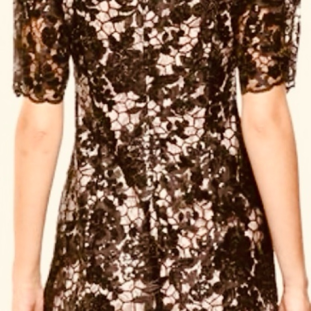 Calvin Klein Black Lace Dress with Flutter Sleeves Size 12, Party Dress - Picture 3 of 6